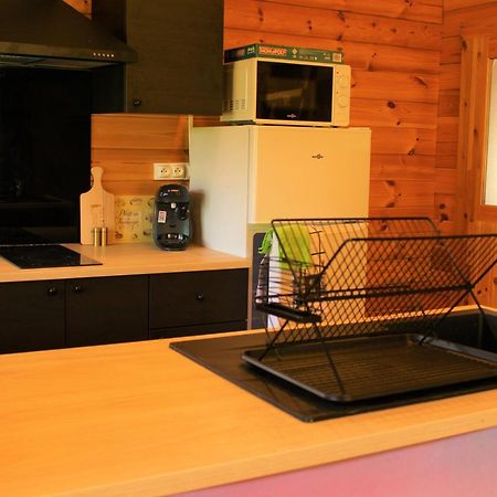Chalet Pyreneen Saint-Ybars Exterior photo