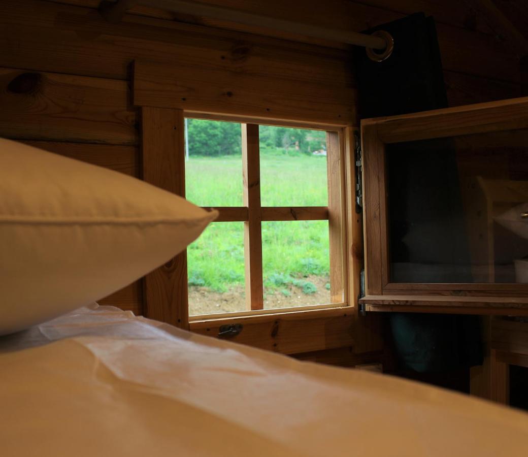 Chalet Pyreneen Saint-Ybars Exterior photo